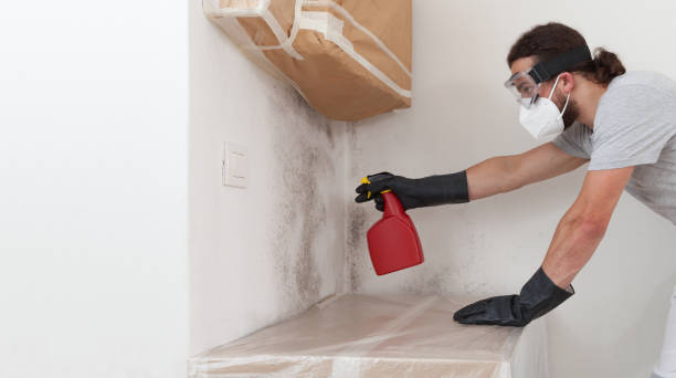 Professional Mold Cleanup technician working in Cameron, NC