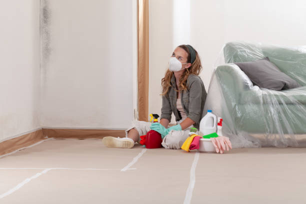 Reliable Mold Cleanup contractor in Cameron, NC by WQB Mold Removal